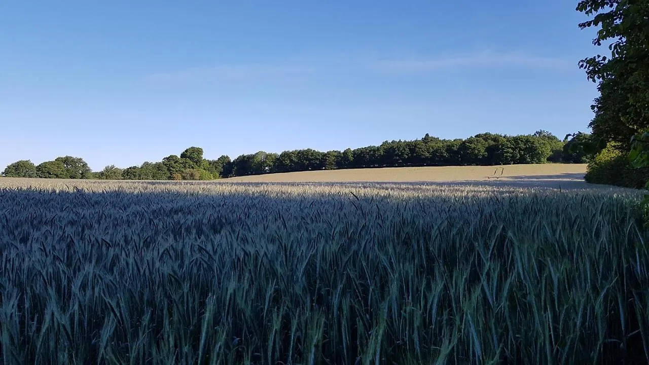 Elliant Nuances Bretonnes B&B