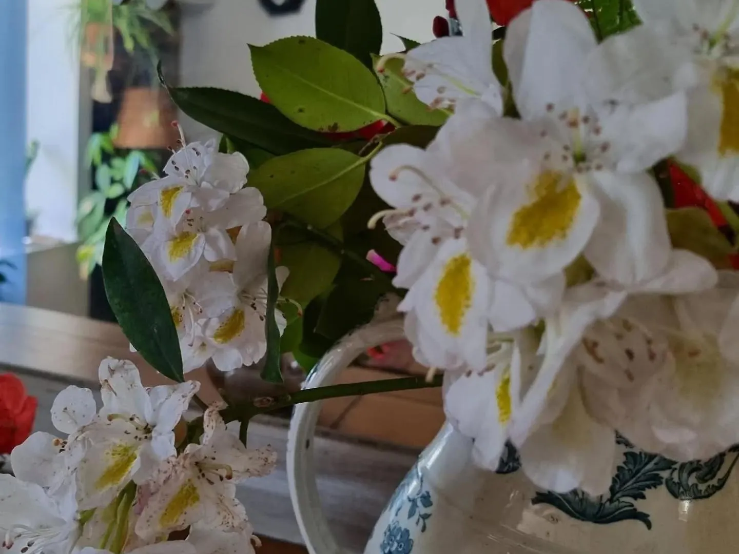 Elliant Nuances Bretonnes B&B 0*,  프랑스